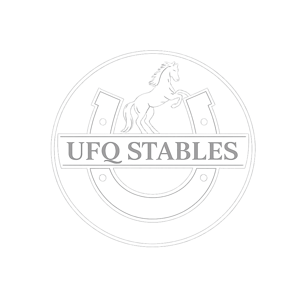 أكاديمية و اسطبلات أفق الخيل للفروسية